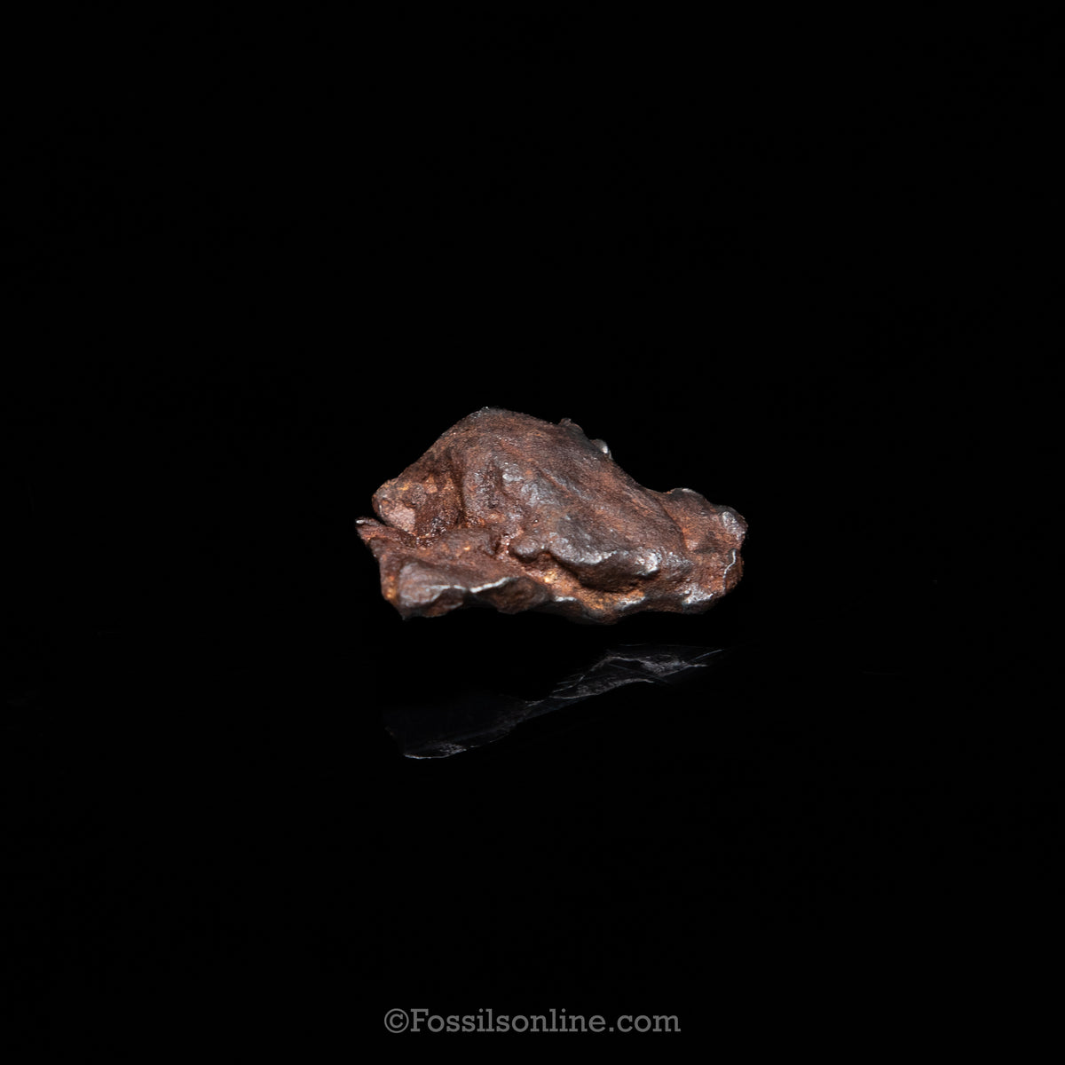 Genuine Gebel Kamil Meteorite in Glass Dome
