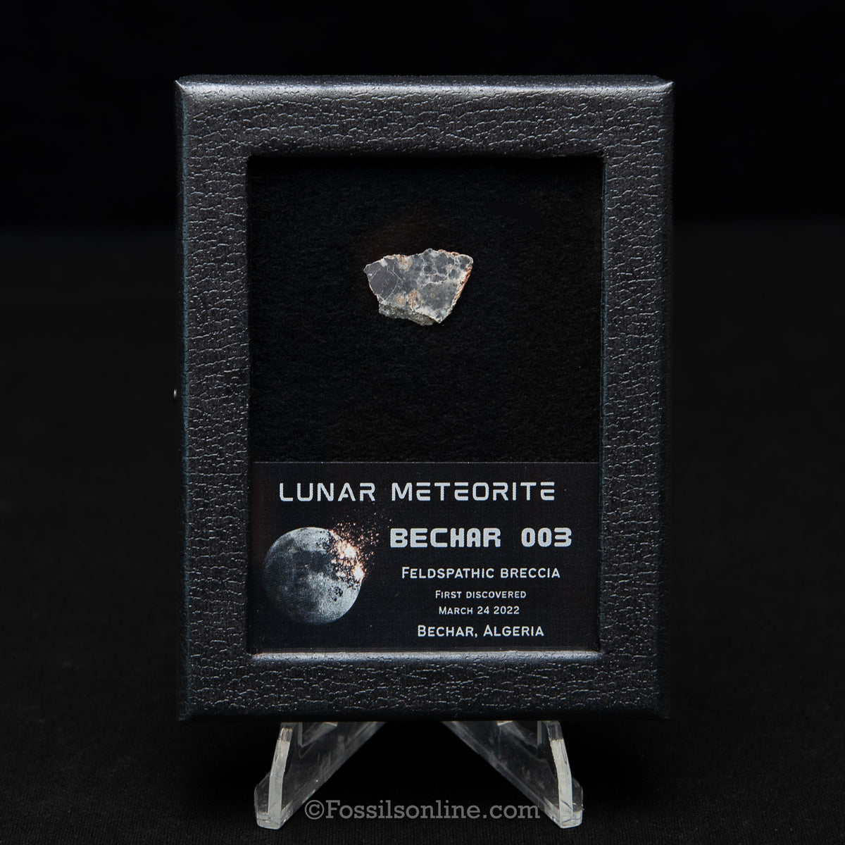Bechar 003 Lunar Meteorite Slice