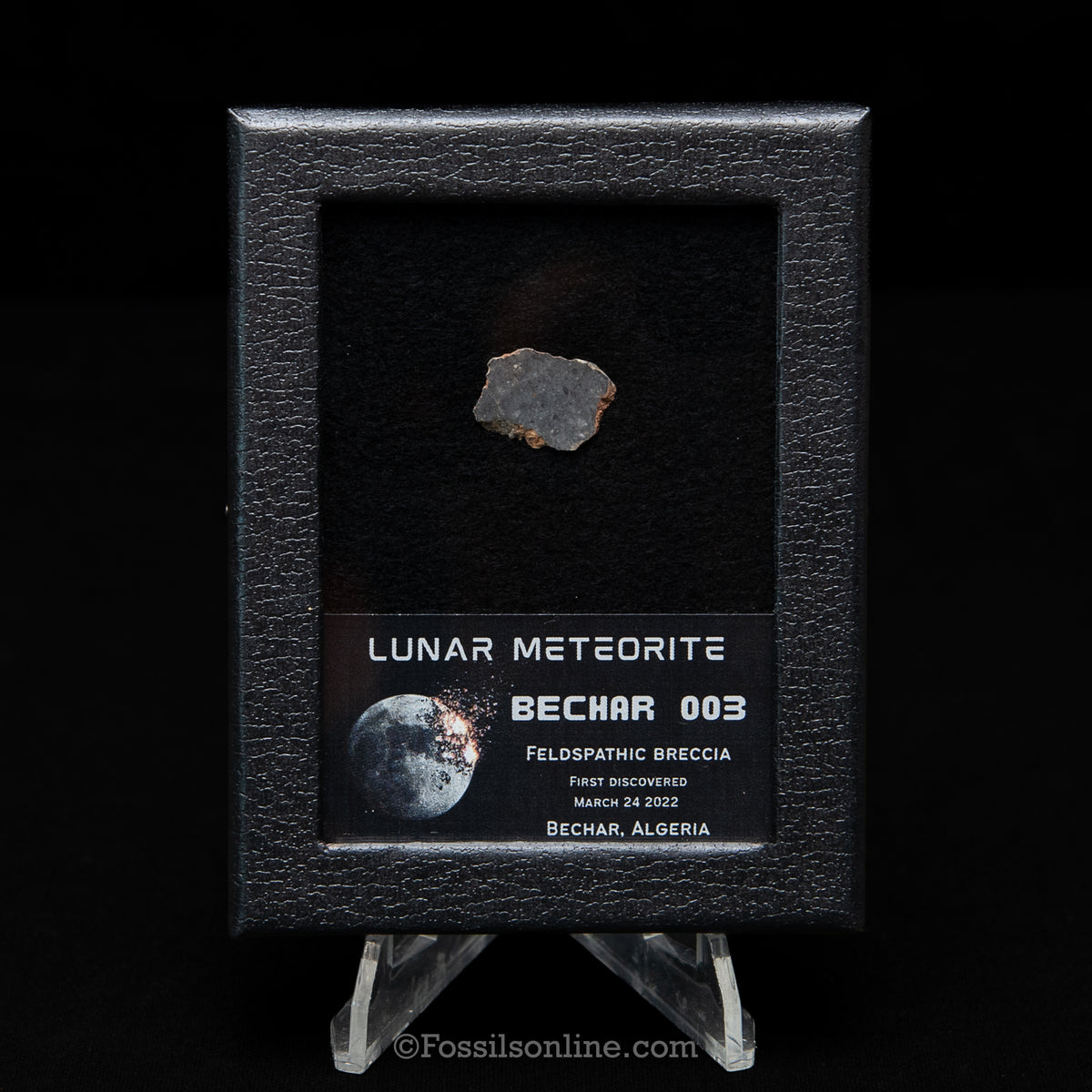 Bechar 003 Lunar Meteorite Slice