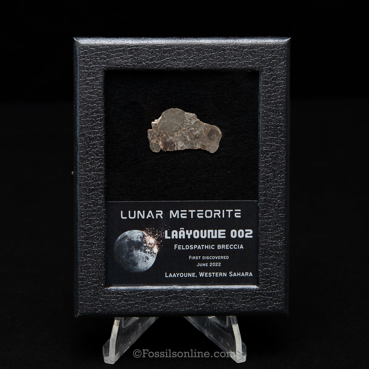 Laâyoune 002 Lunar Meteorite Slice
