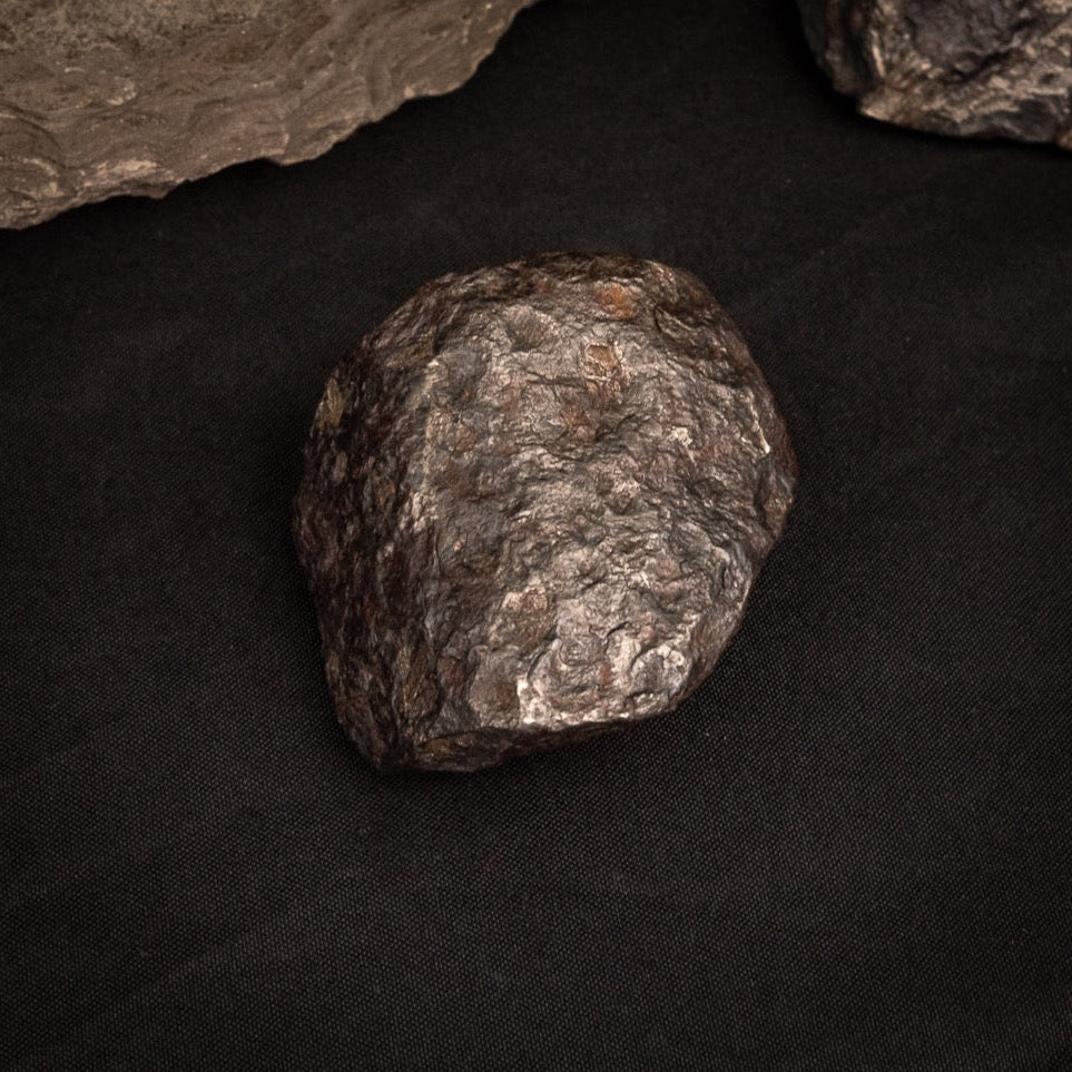 Muonionalusta Meteorite  1105 grams