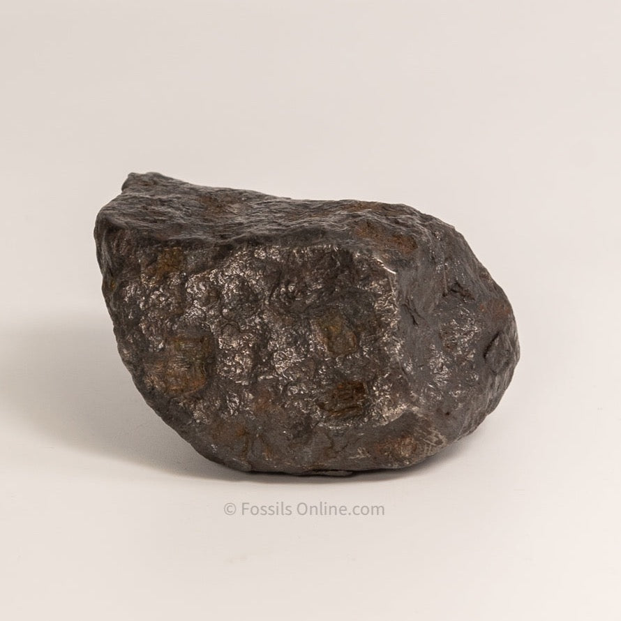 Muonionalusta Meteorite  1105 grams