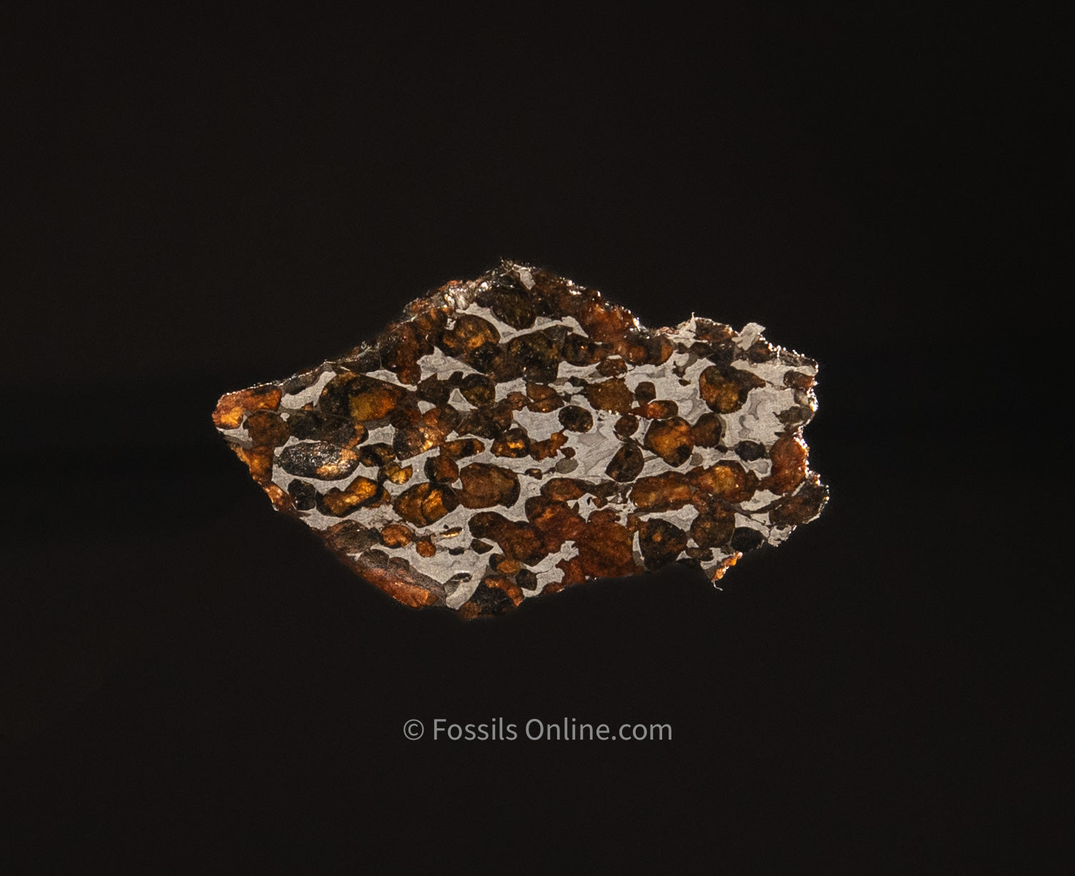 Sericho Meteorite Slice 34gr