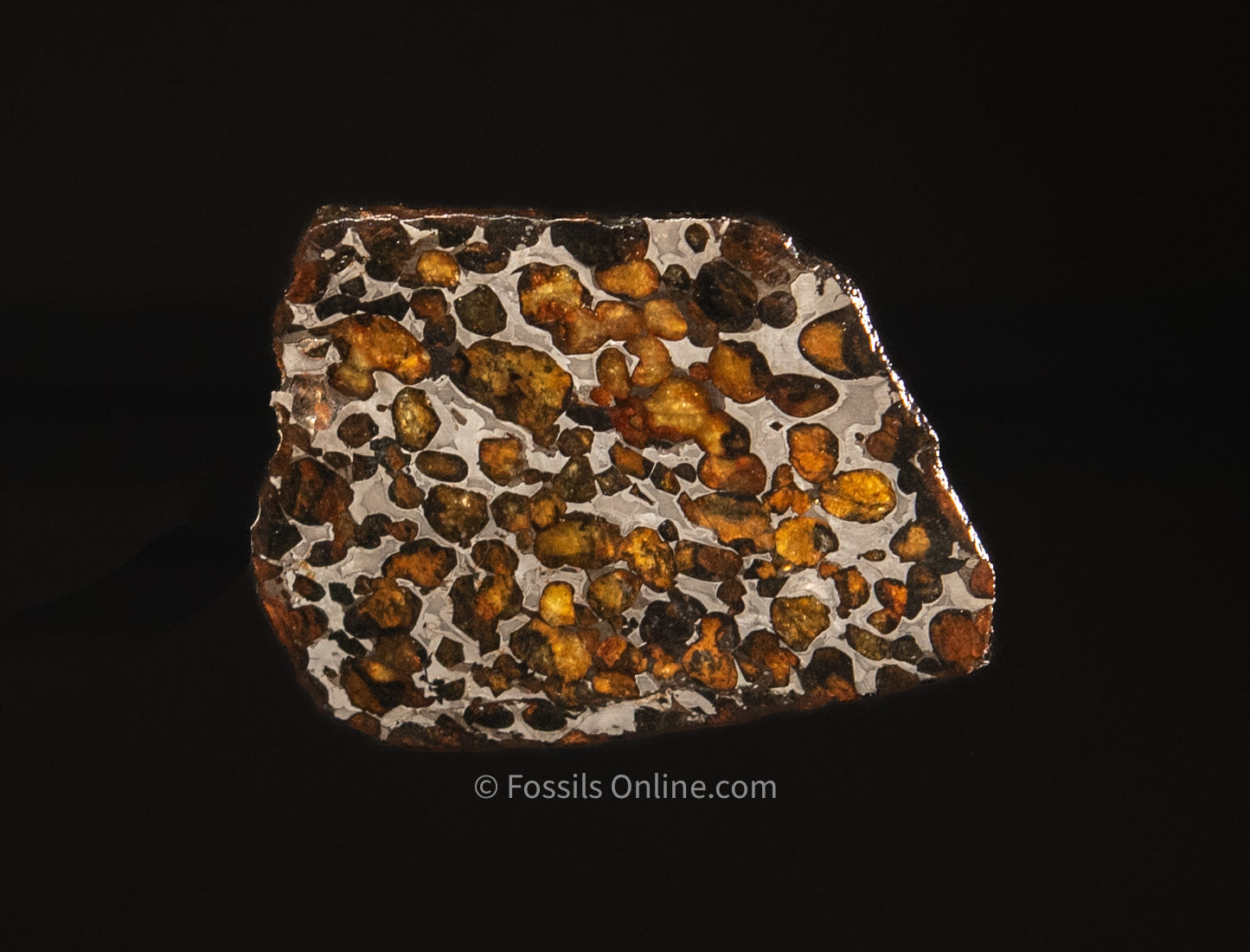 Sericho Meteorite Slice 58gr
