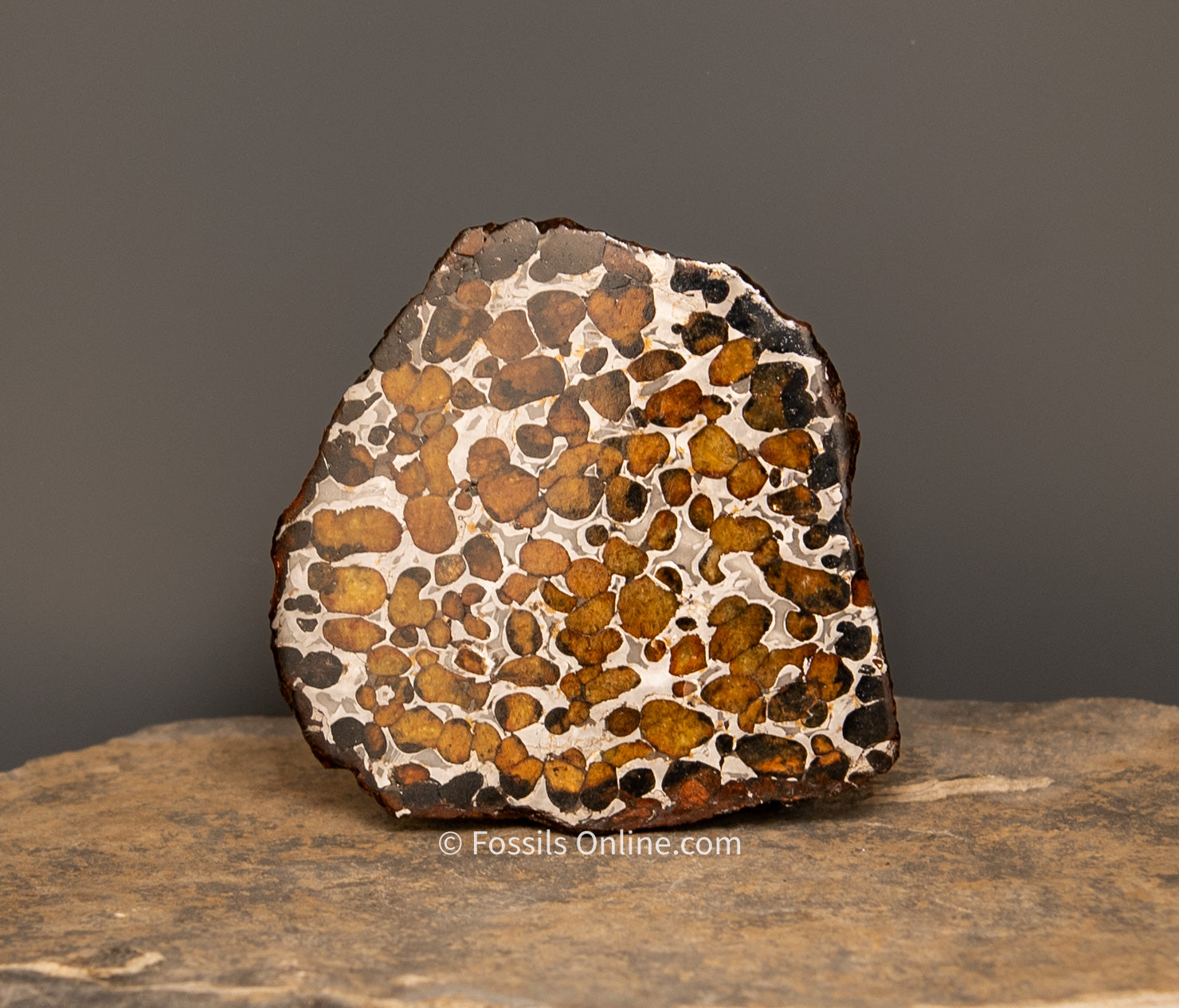 Sericho Meteorite Slice 88gr
