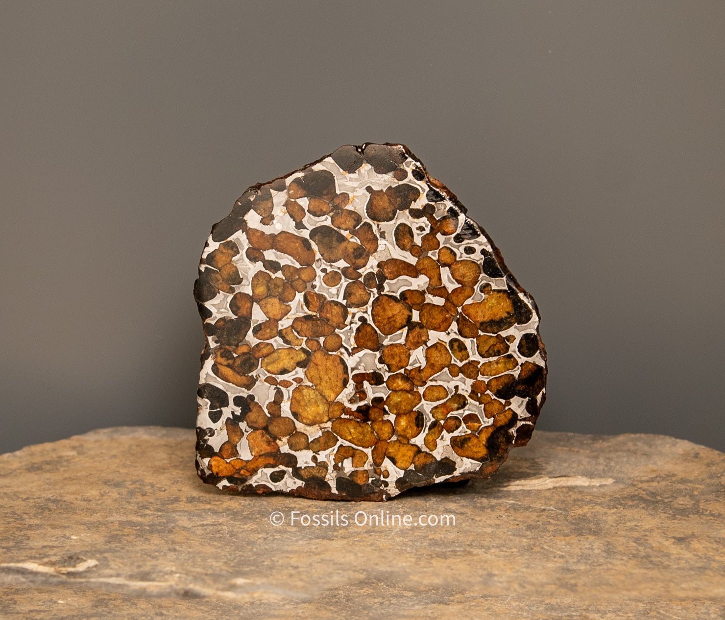 Sericho Meteorite Slice 88gr