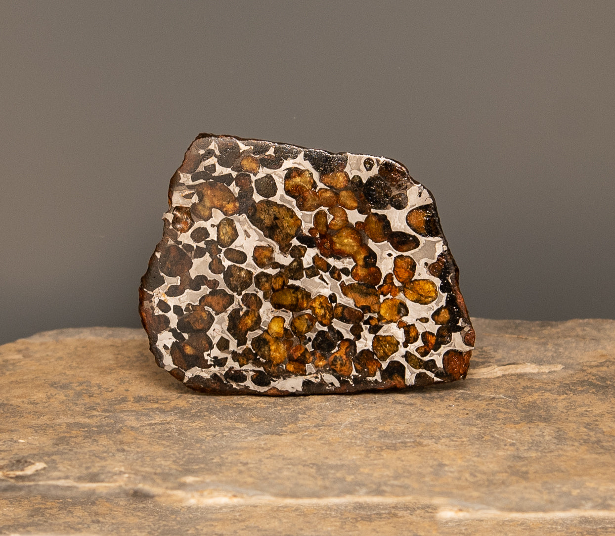 Sericho Meteorite Slice 58gr