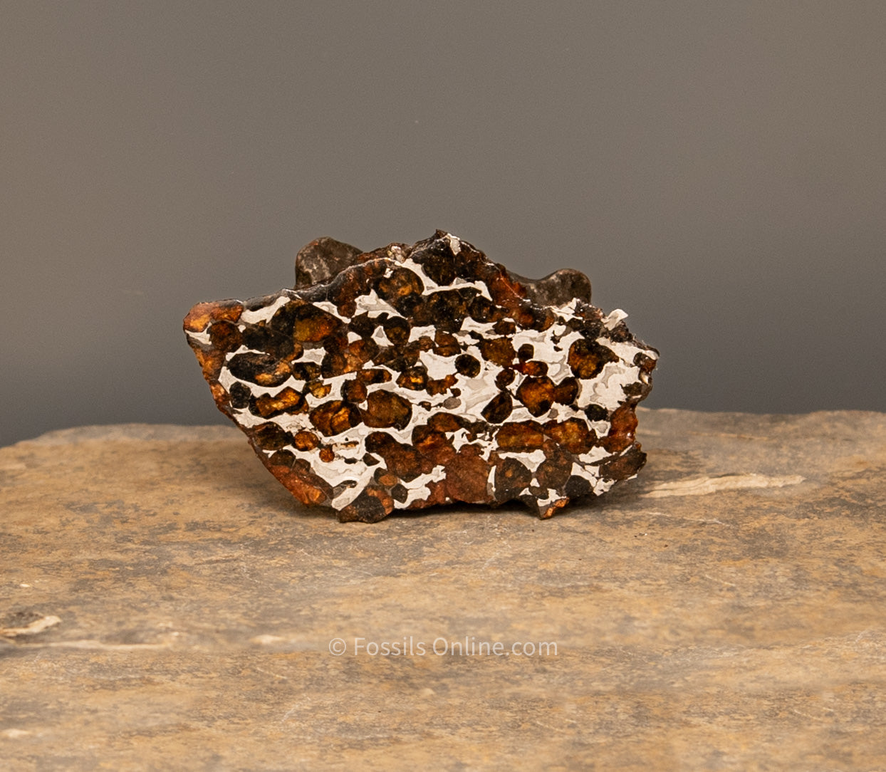 Sericho Meteorite Slice 34gr
