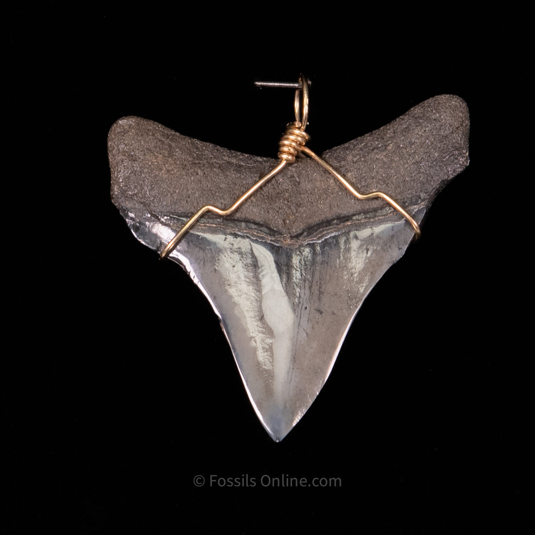 Fossil Jewelry Pendant