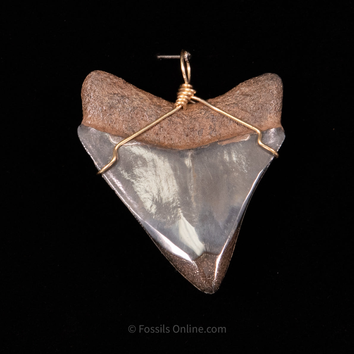 Fossil Jewelry Pendant