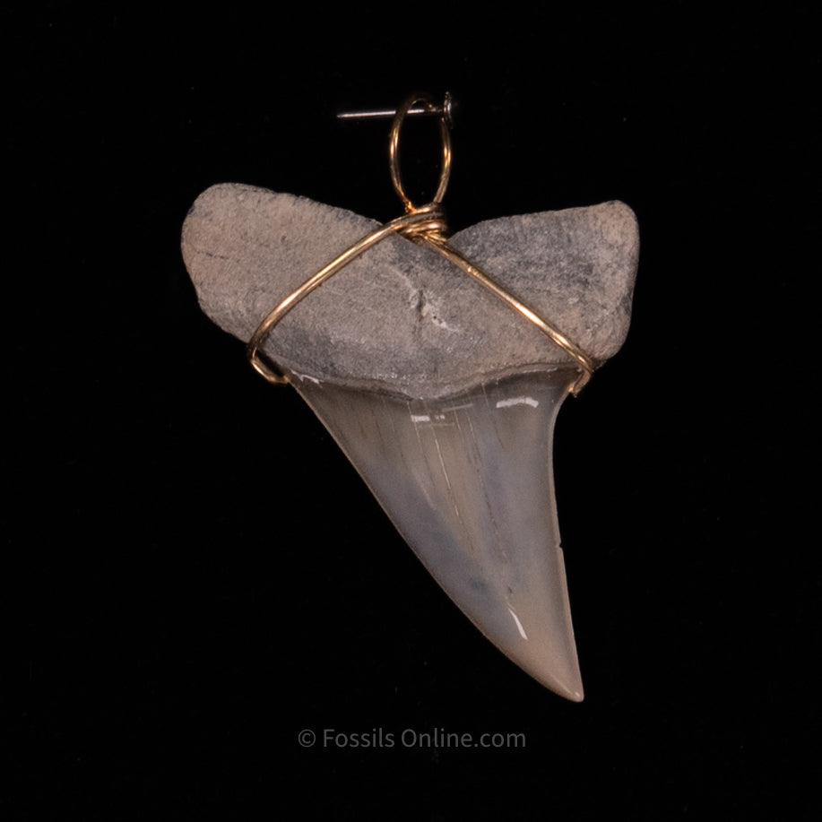 Fossil Jewelry Pendant