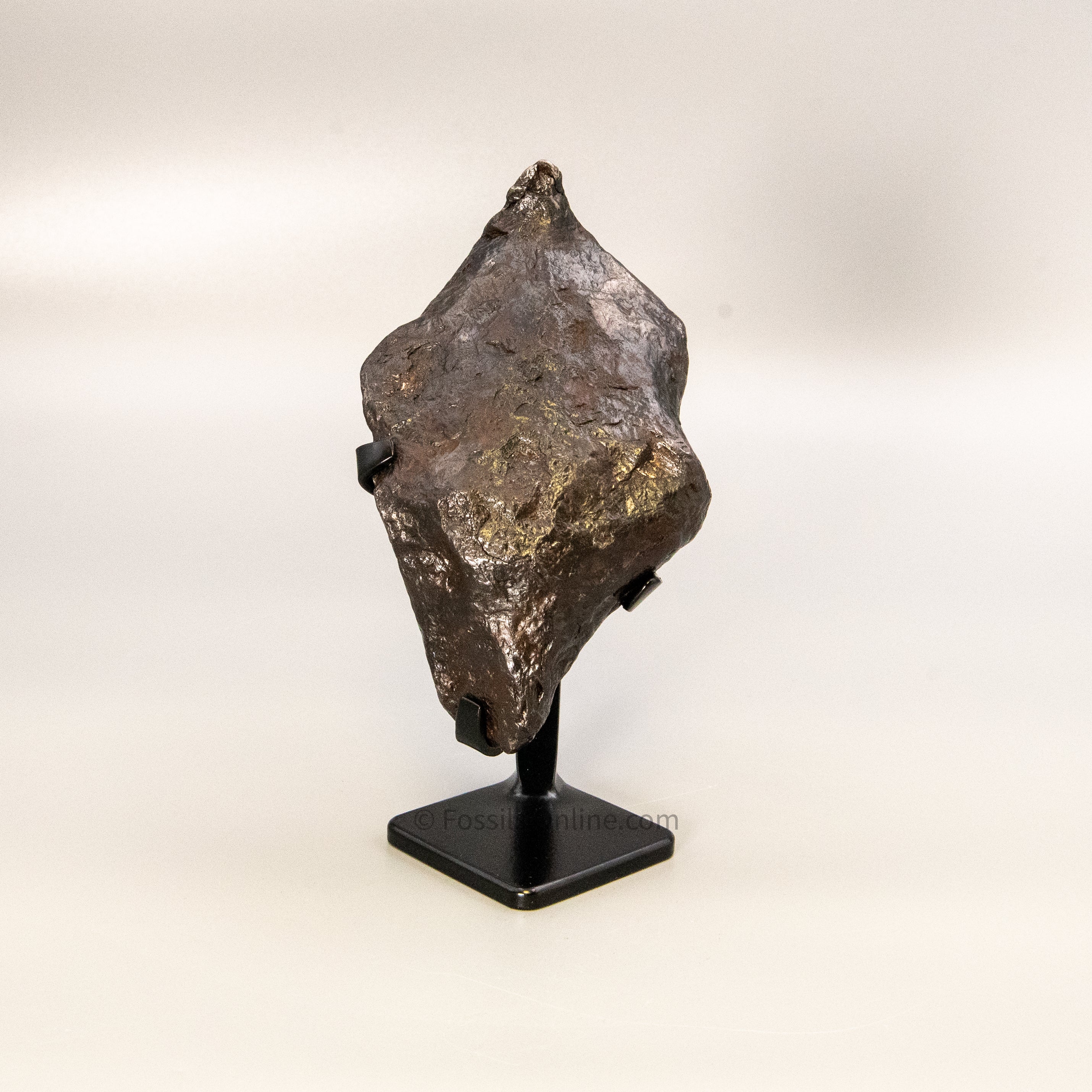 Muonionalusta Meteorite 2065g
