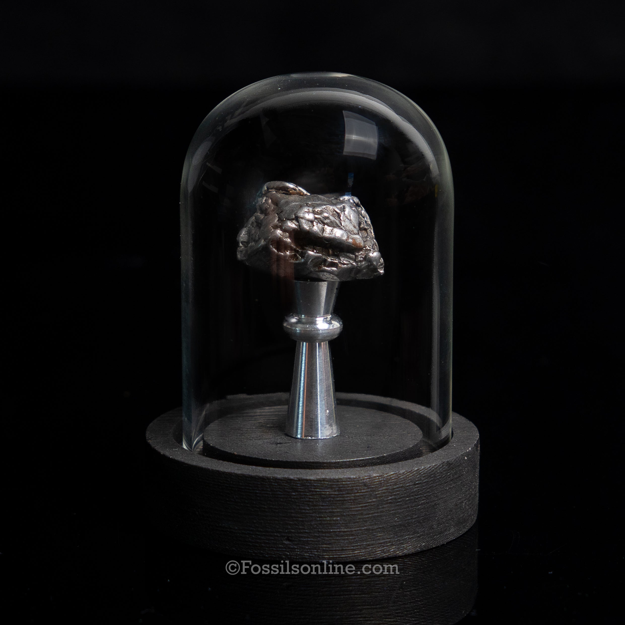 GENUINE Aletai Meteorite in a glass dome