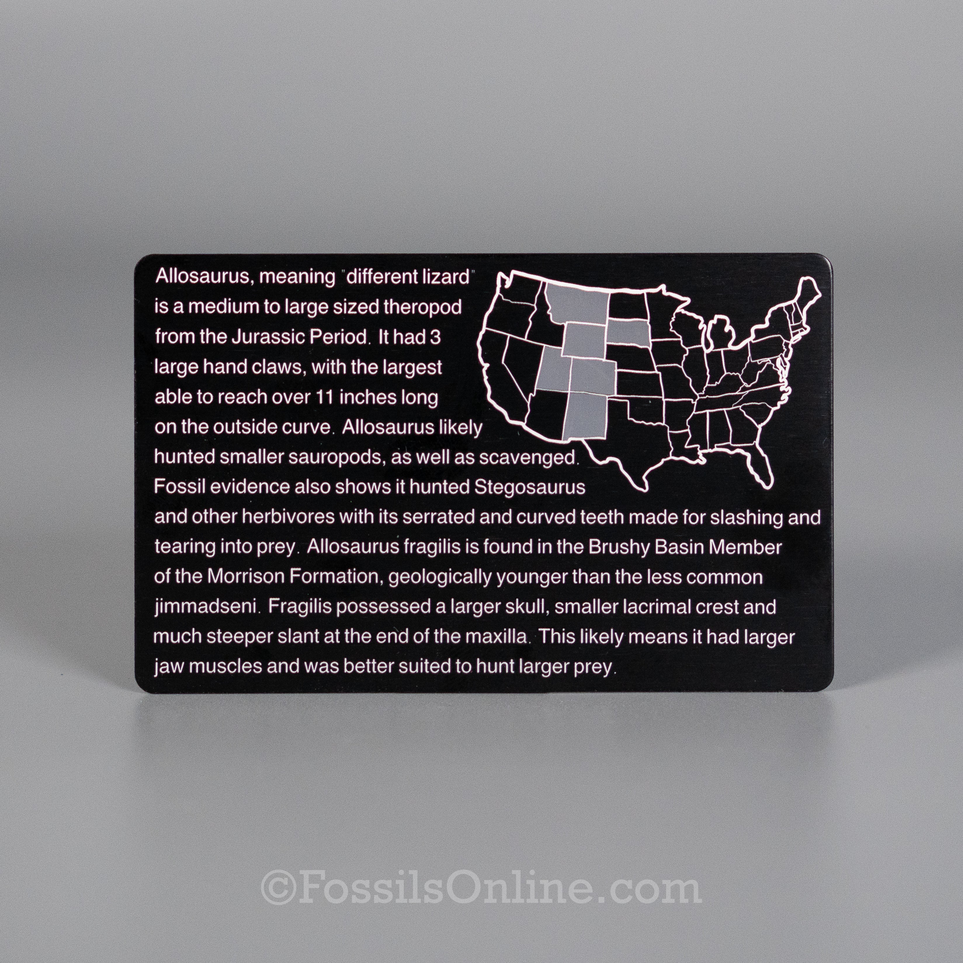 Allosaurus Fossil ID Card