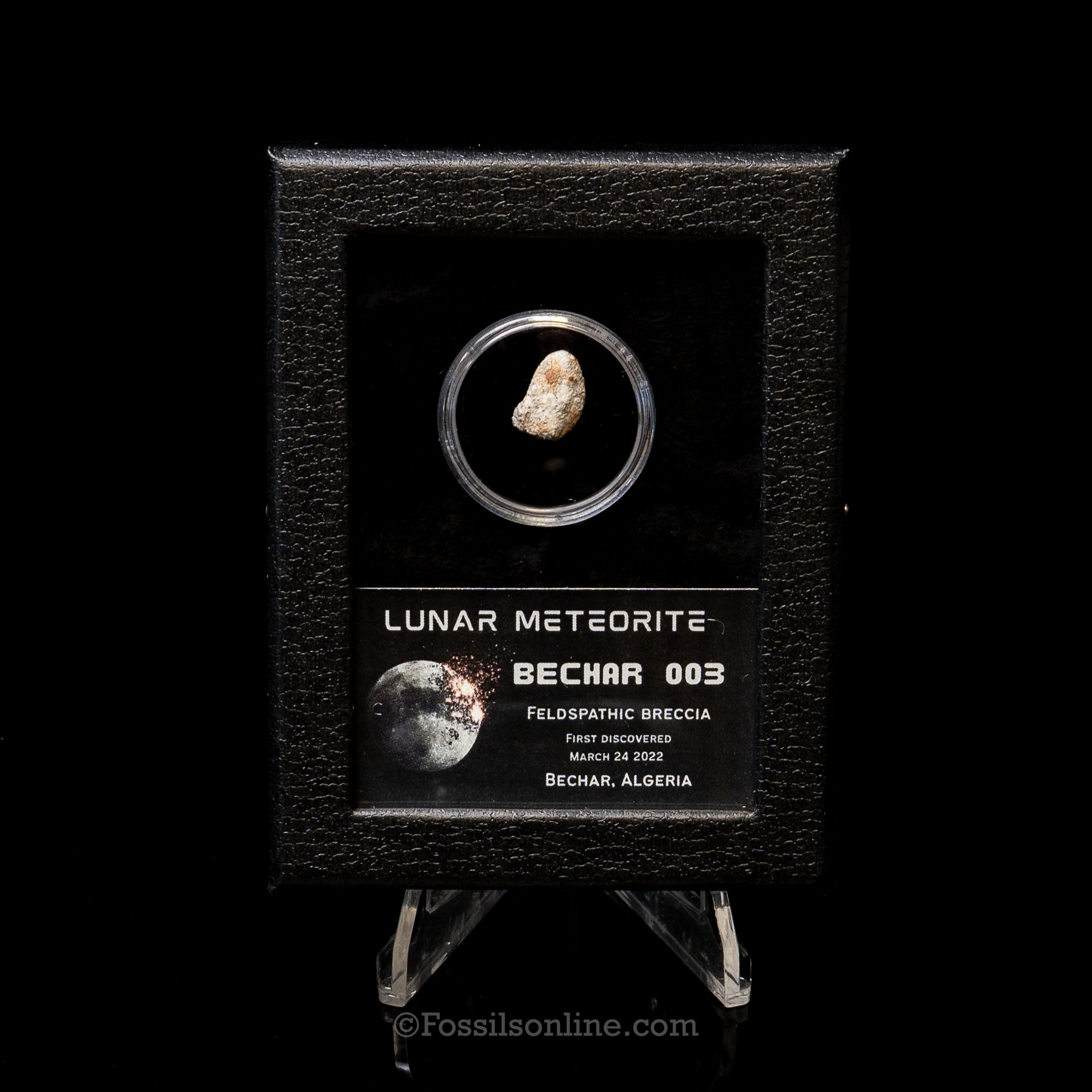 Bechar 003 Lunar Meteorite