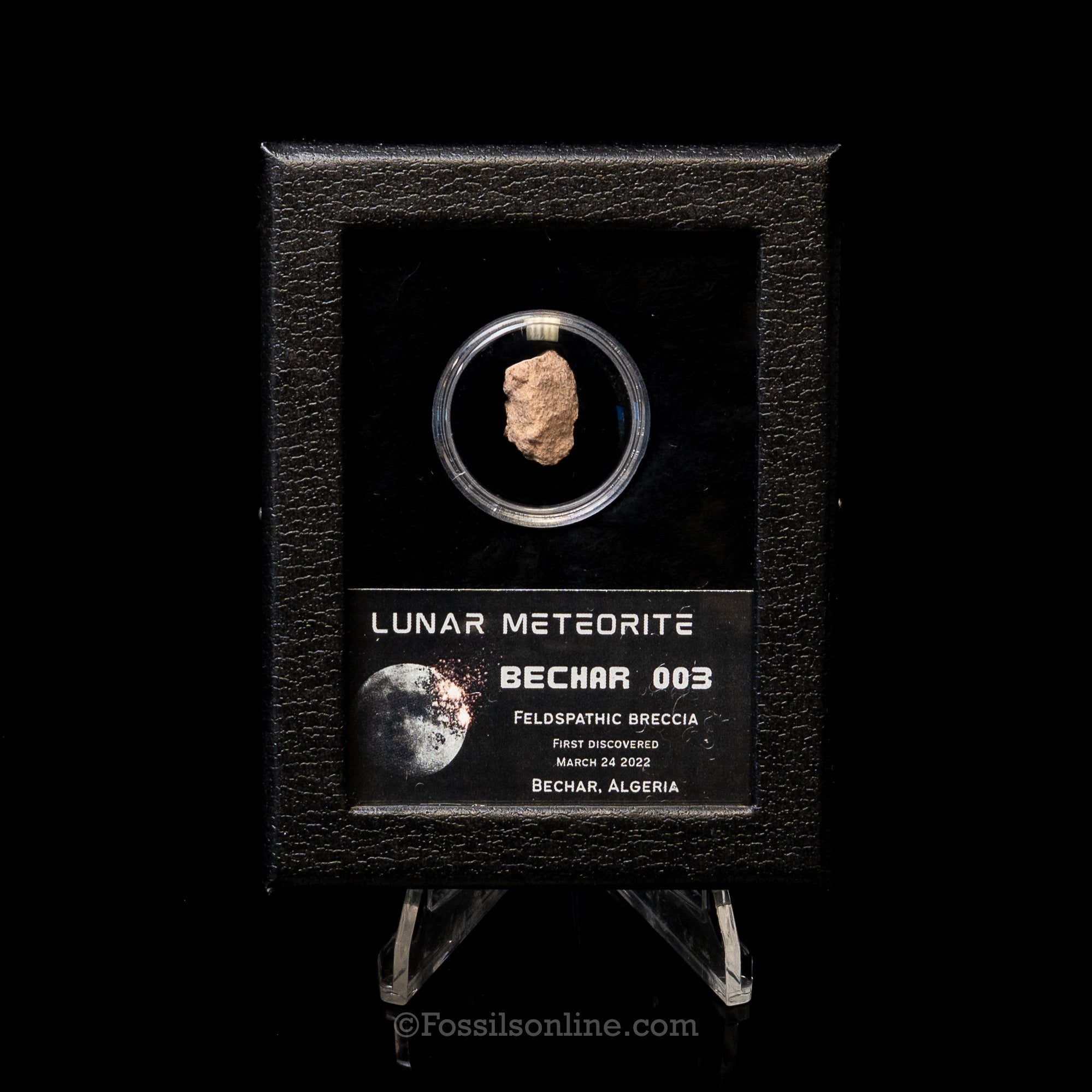 Bechar 003 Lunar Meteorite