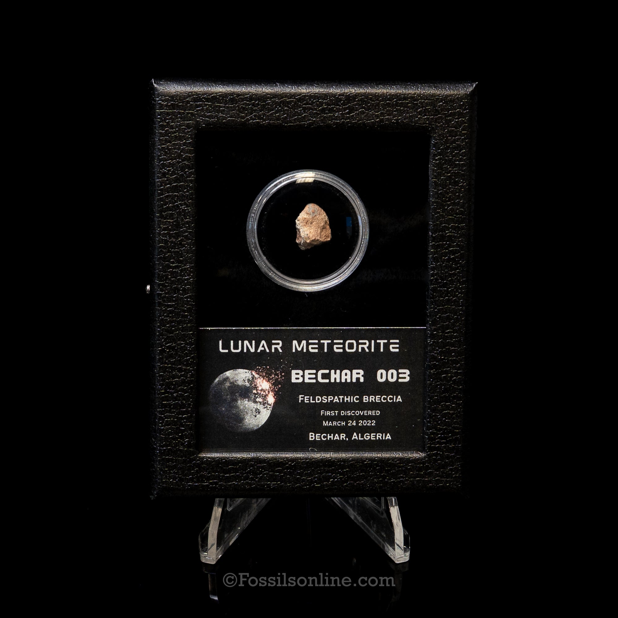 Bechar 003 Lunar Meteorite