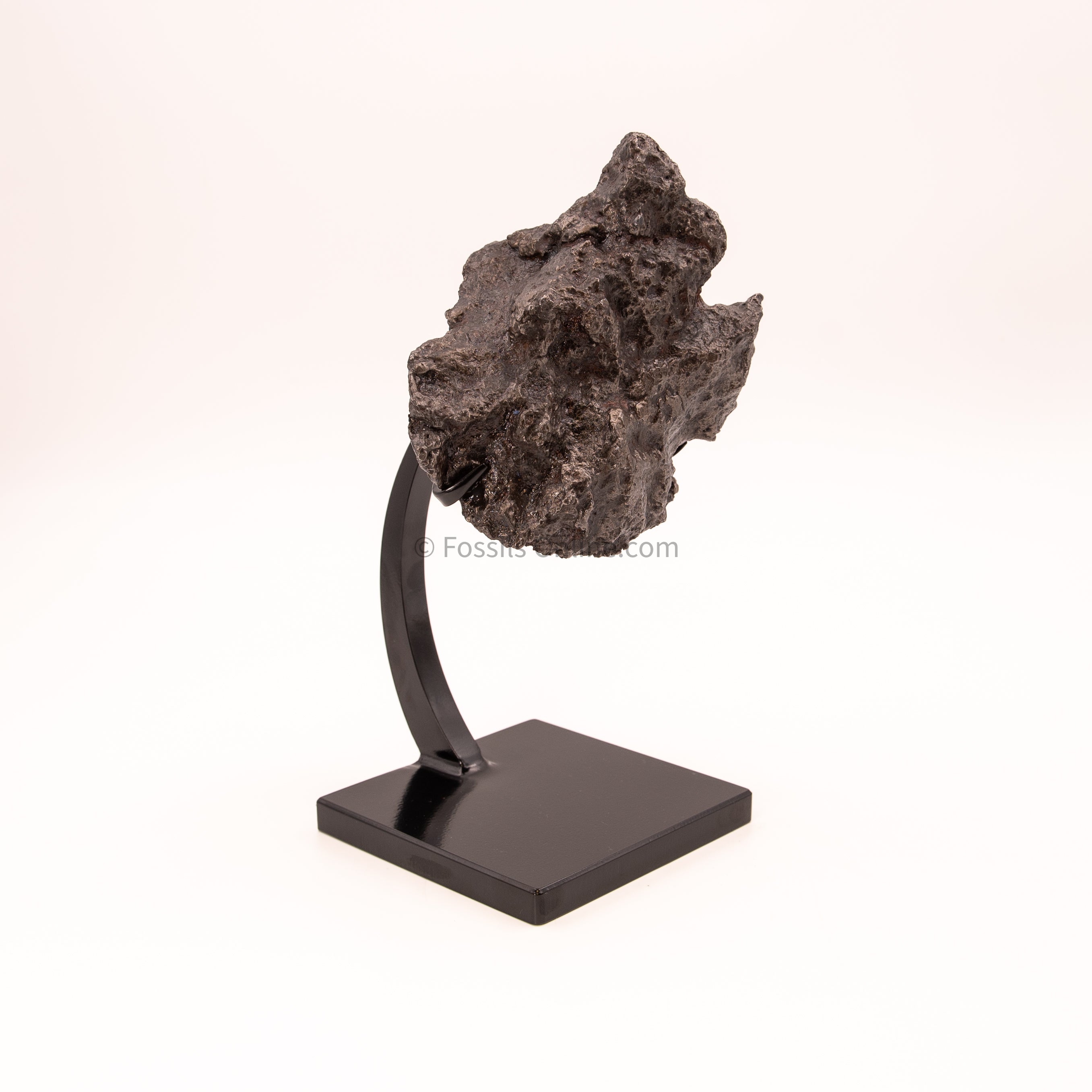 Campo del Cielo Meteorite 3125g