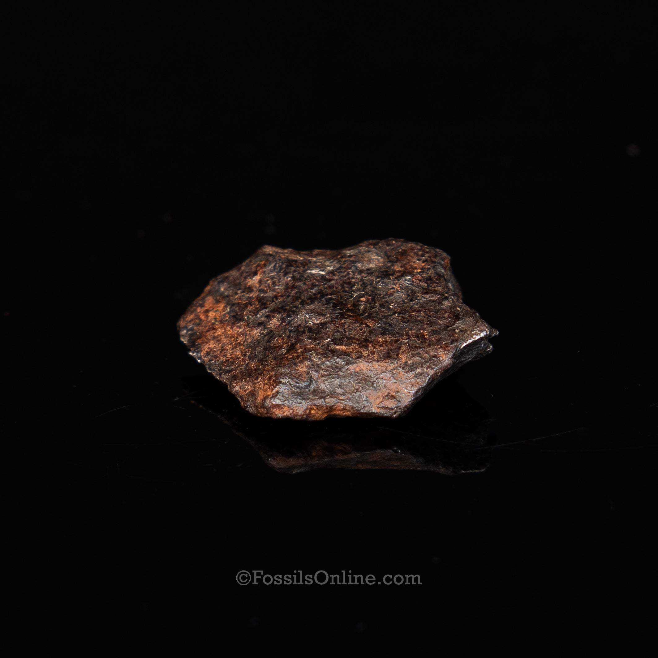 Canyon Diablo Meteorite in a dome