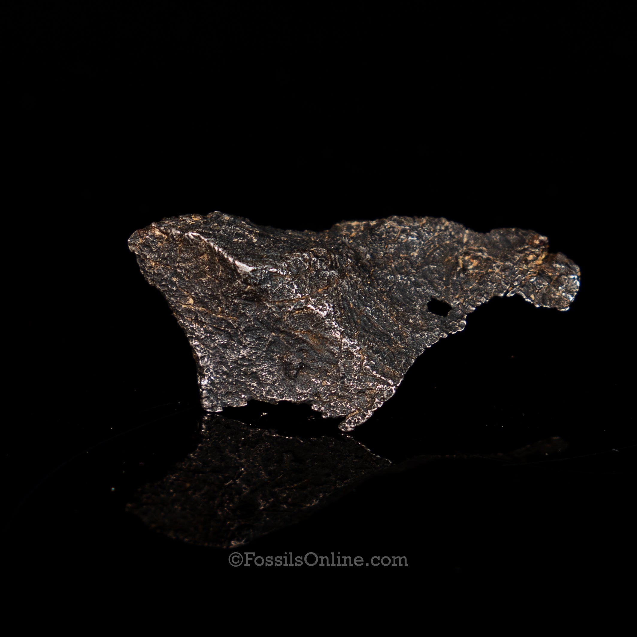 Canyon Diablo Meteorite in a dome