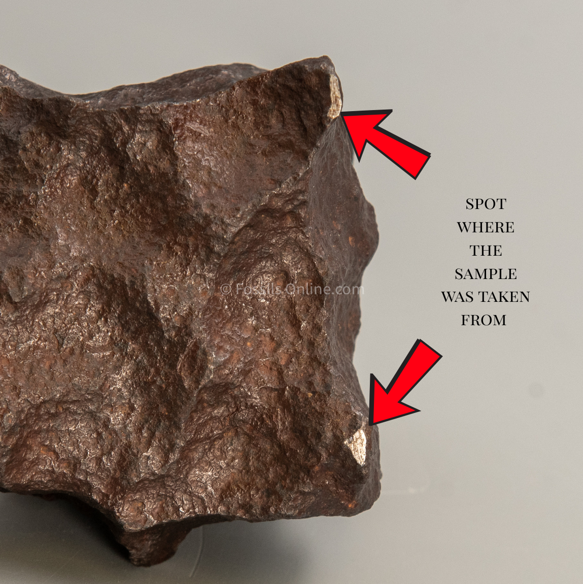 Henbury Meteorite 1265gr