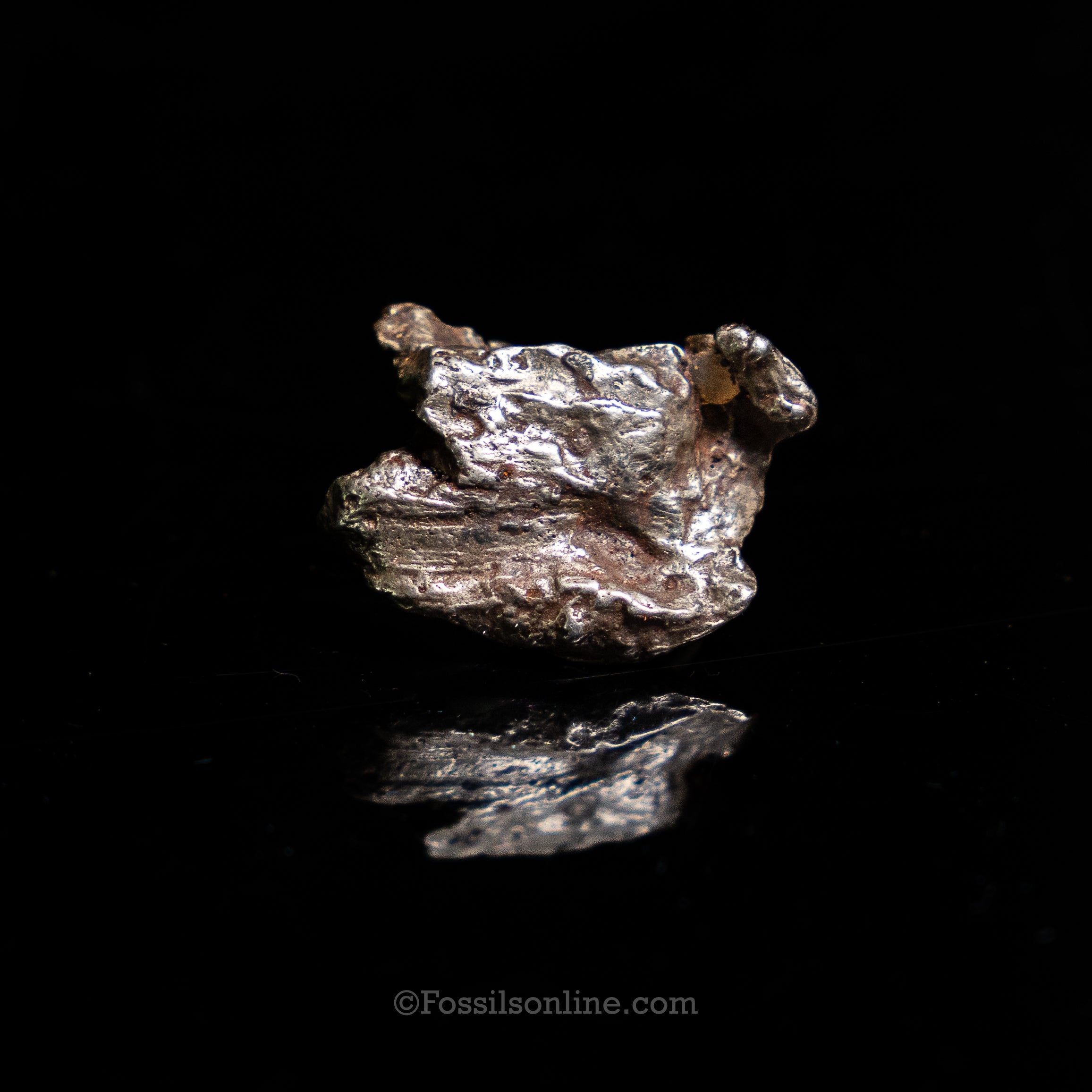 Genuine Sikhote-Alin Meteorite in Glass Dome