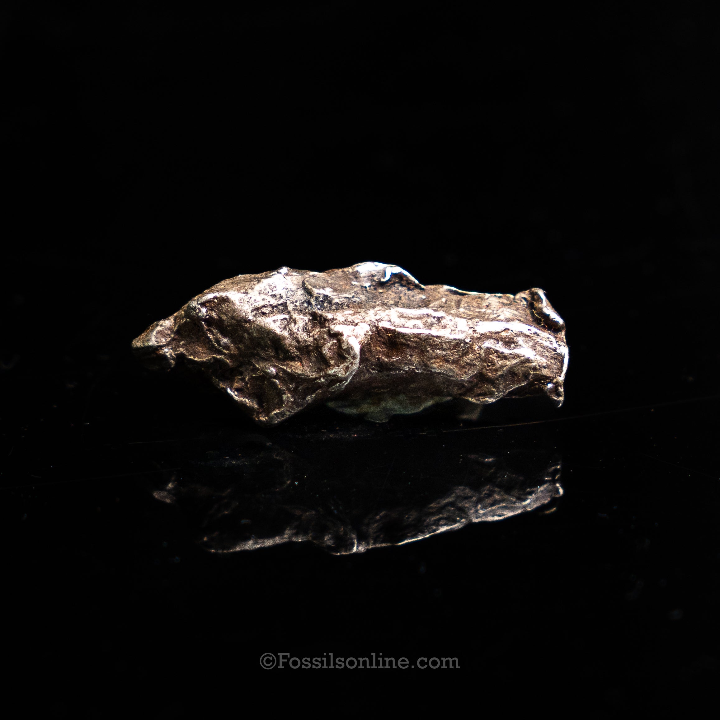 Genuine Sikhote-Alin Meteorite in Glass Dome