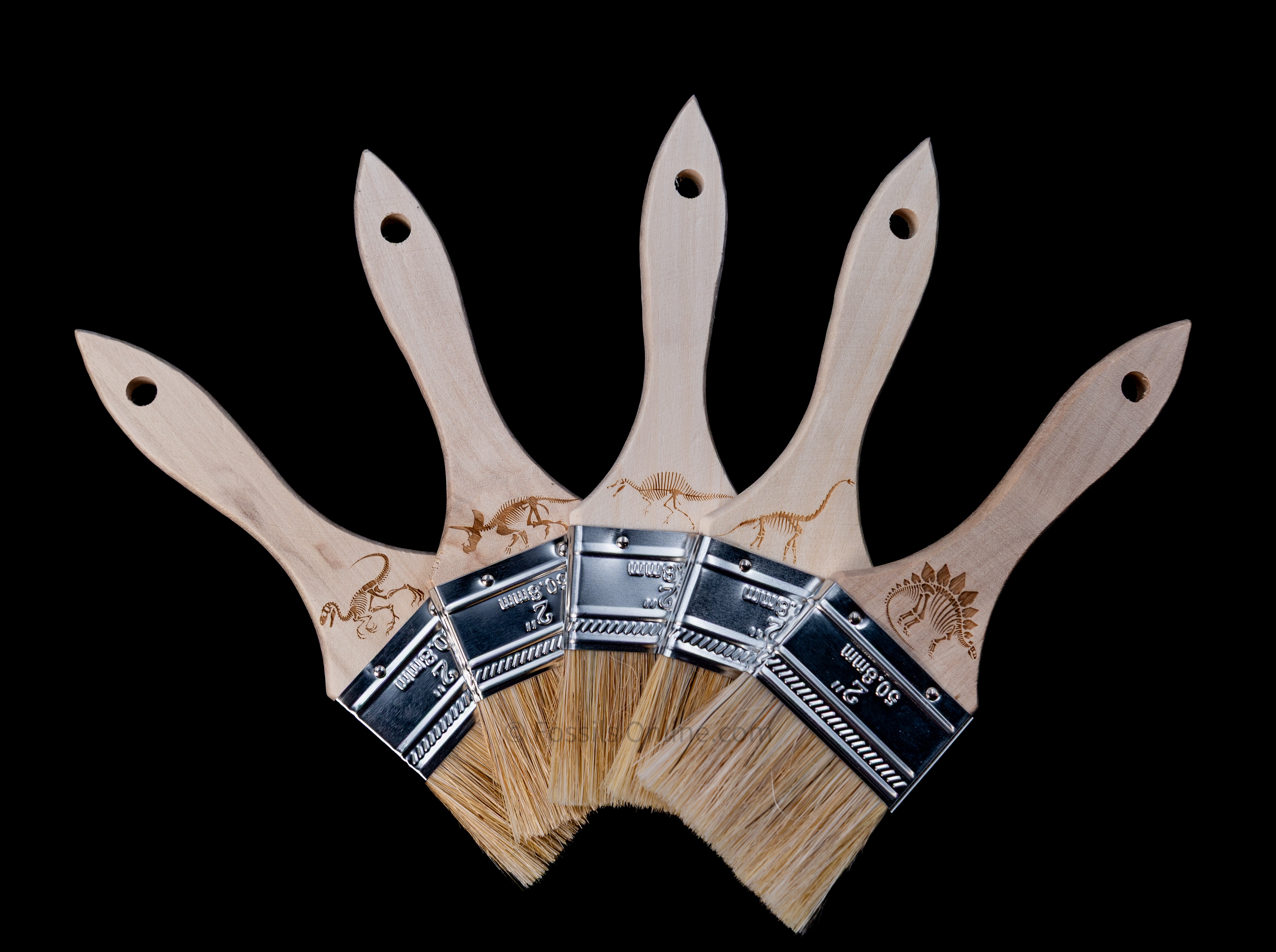 Engraved Dinosaur Fossil Digging Brushes
