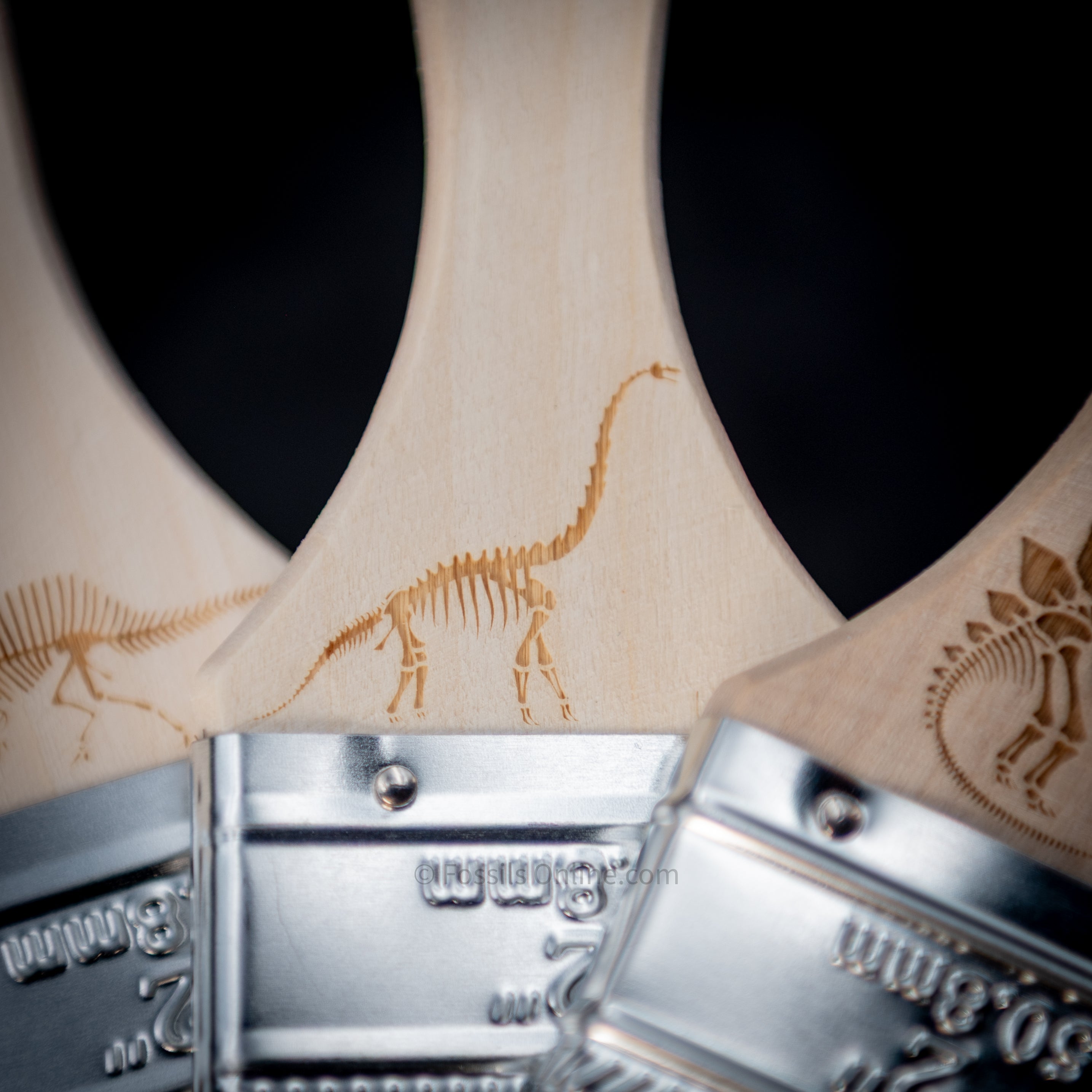 Engraved Dinosaur Fossil Digging Brushes