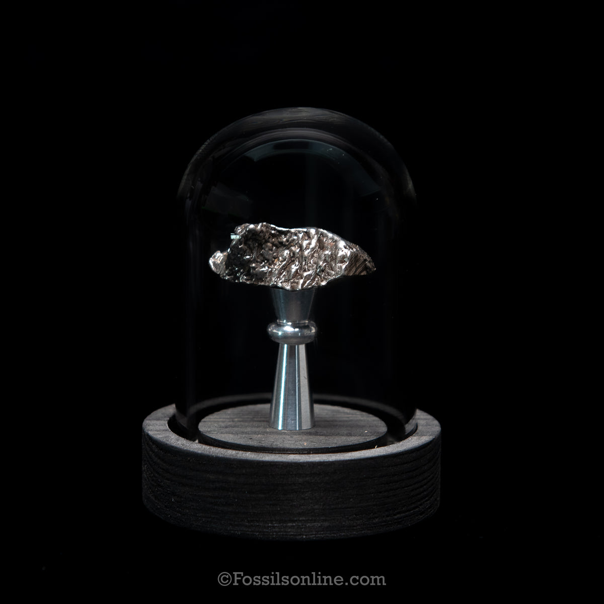 GENUINE Aletai Meteorite in a glass dome