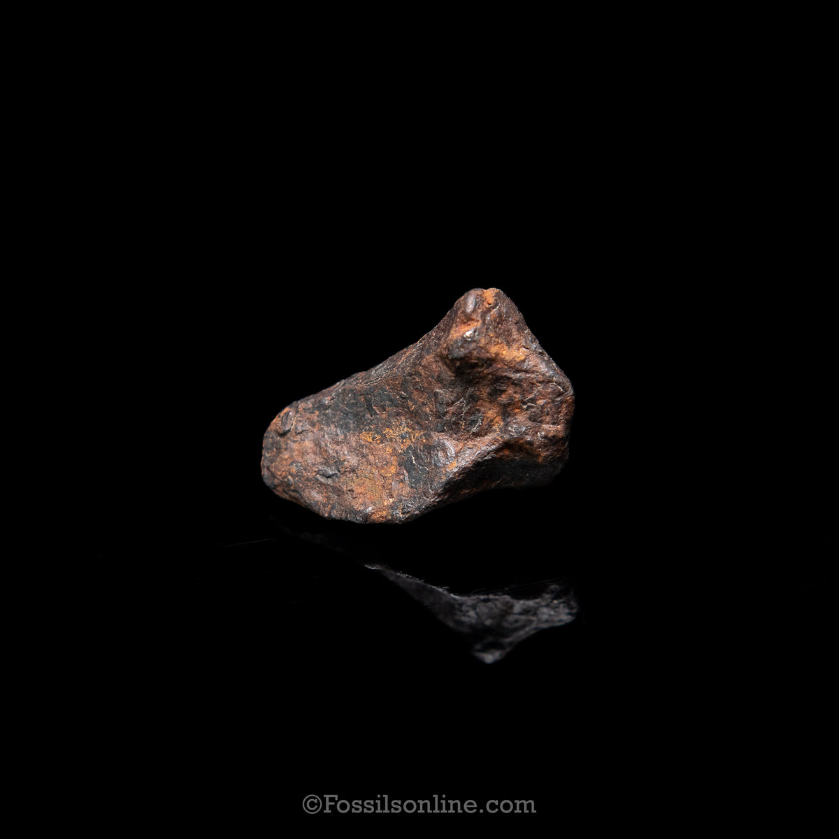 Genuine Canyon Diablo Meteorite in Glass Dome