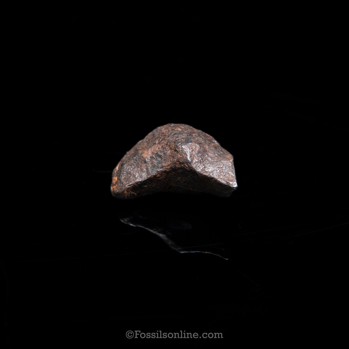 Genuine Canyon Diablo Meteorite in Glass Dome