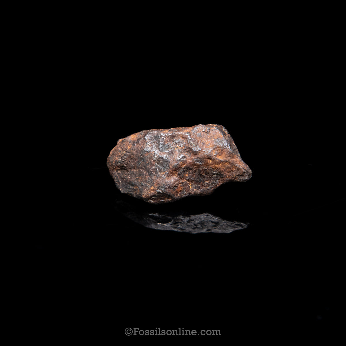 Genuine Canyon Diablo Meteorite in Glass Dome