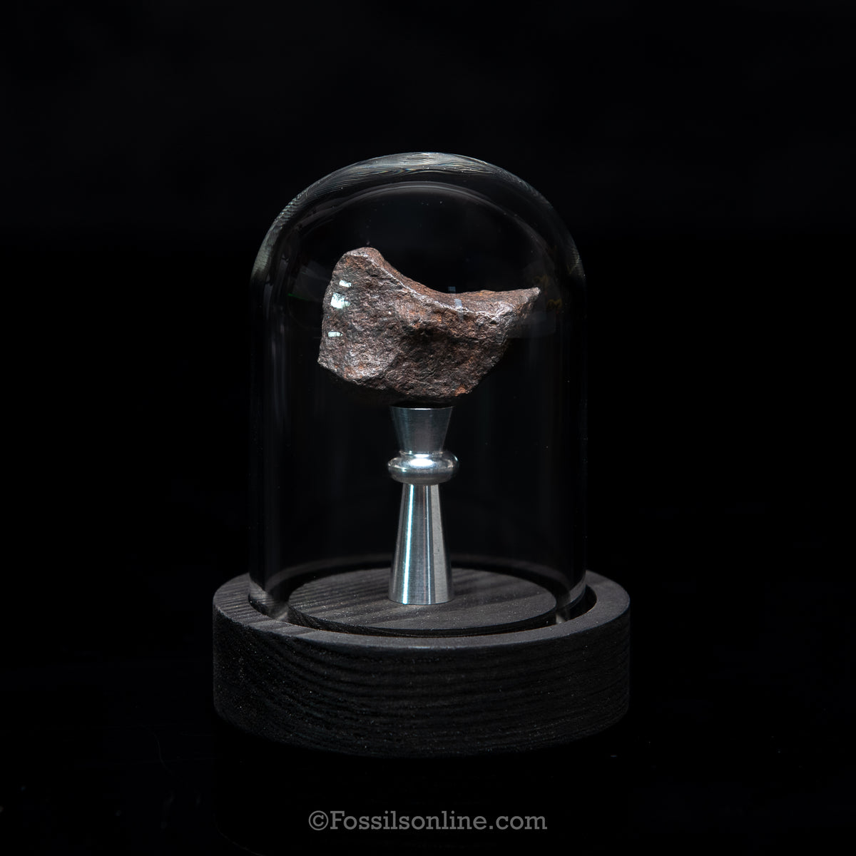 Genuine Canyon Diablo Meteorite in Glass Dome