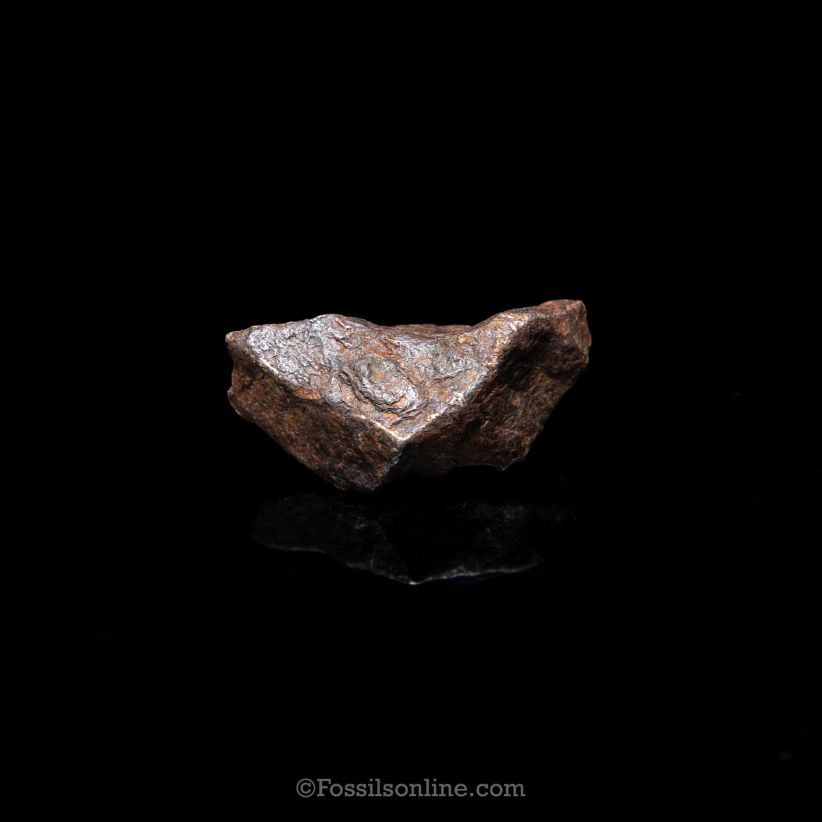 Genuine Agoudal Meteorite in Glass Dome