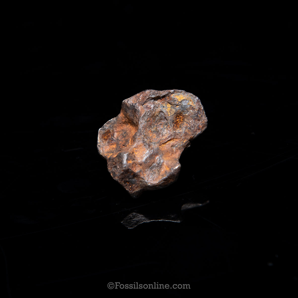 Genuine Agoudal Meteorite in Glass Dome