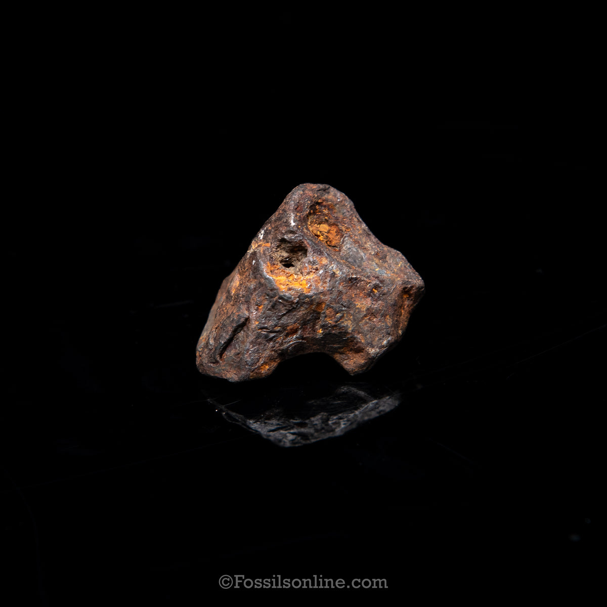Genuine Agoudal Meteorite in Glass Dome