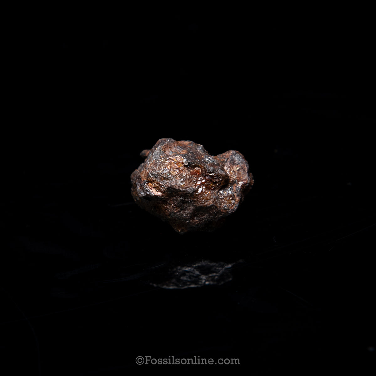 Genuine Sericho Meteorite in Glass Dome