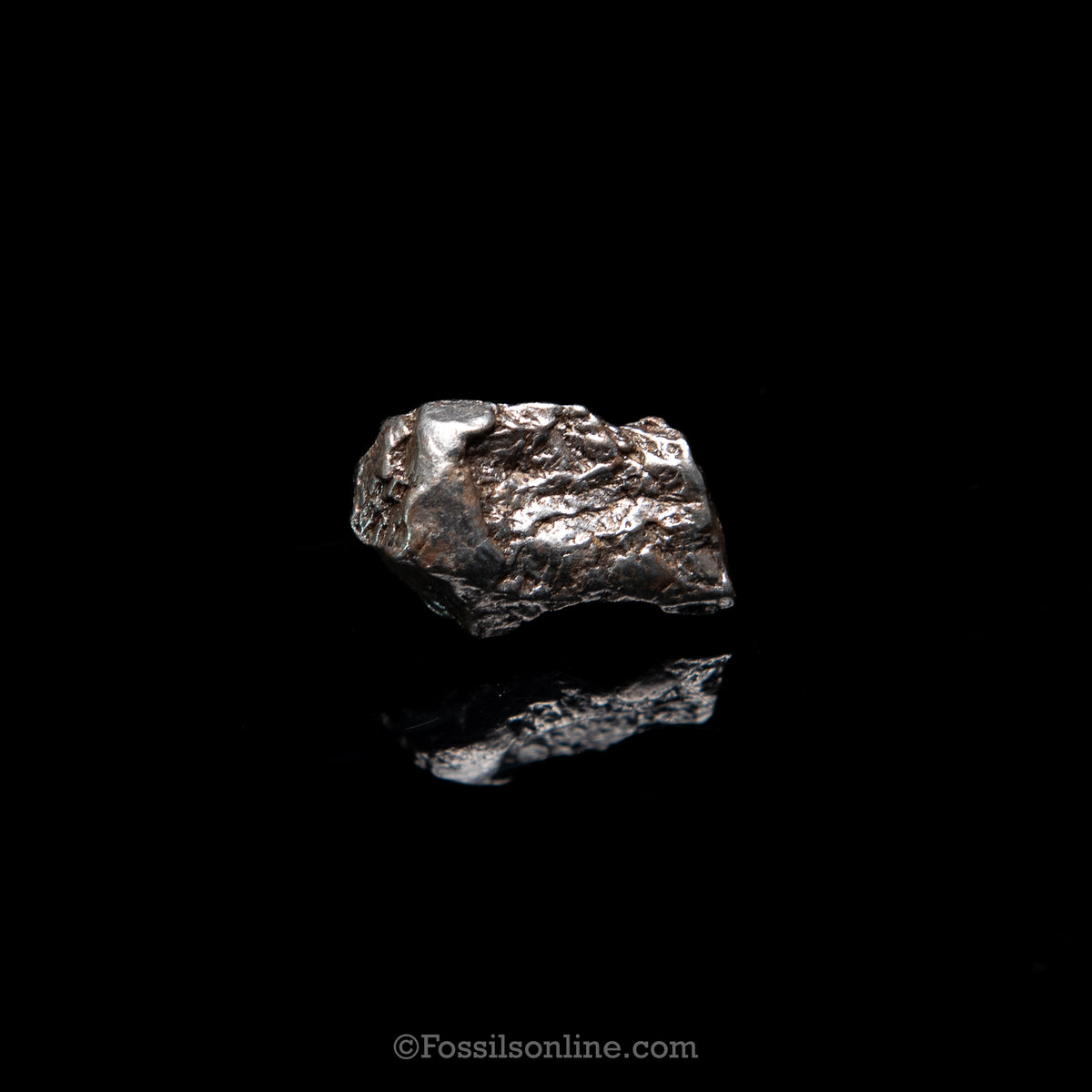 GENUINE Aletai Meteorite in a glass dome