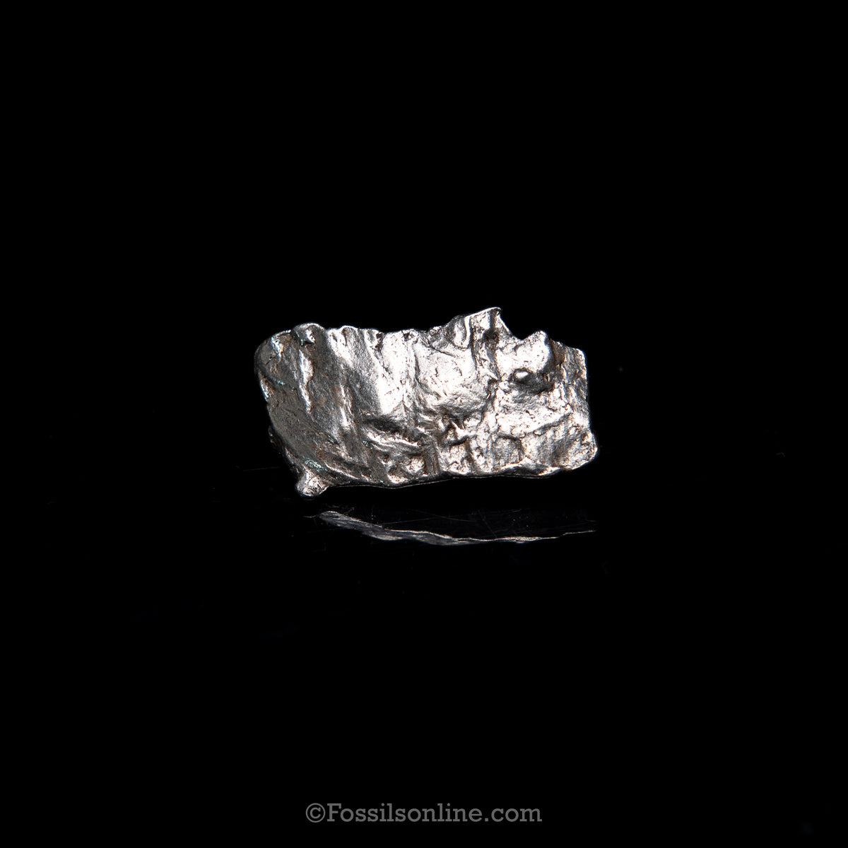 GENUINE Aletai Meteorite in a glass dome