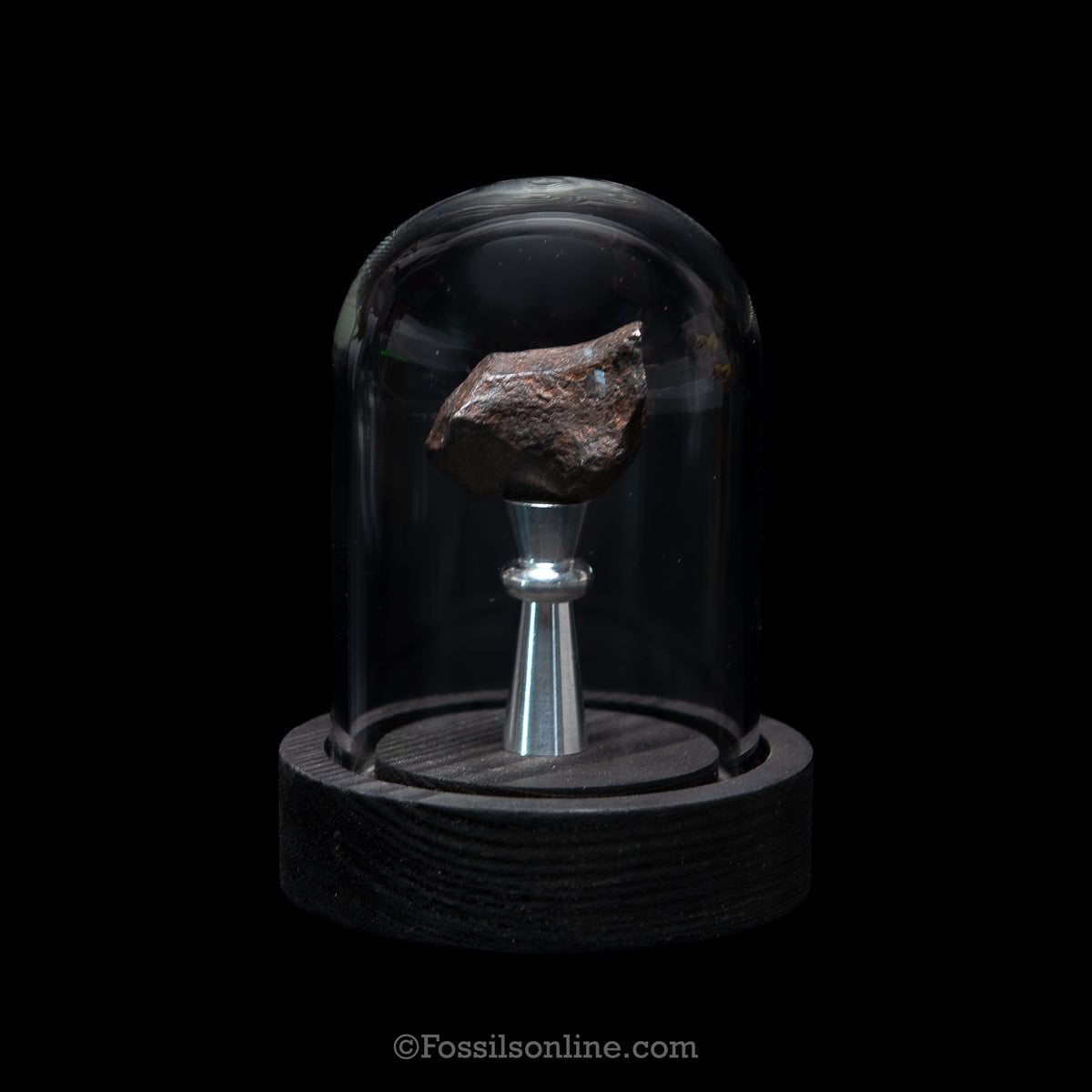 Genuine Canyon Diablo Meteorite in Glass Dome
