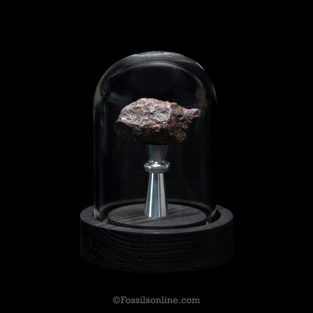 Genuine Canyon Diablo Meteorite in Glass Dome