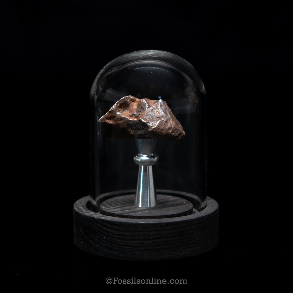 Genuine Agoudal Meteorite in Glass Dome