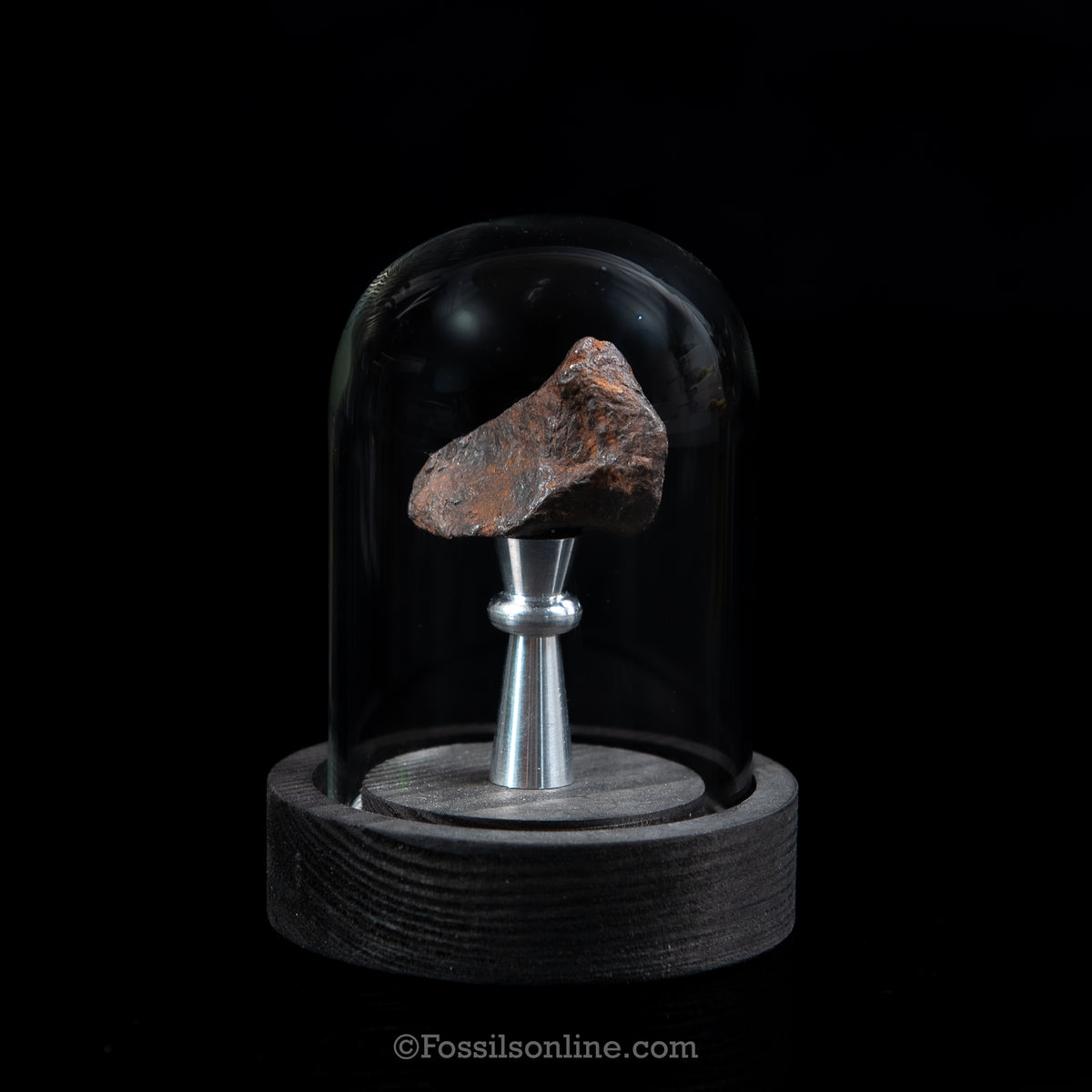 Genuine Canyon Diablo Meteorite in Glass Dome
