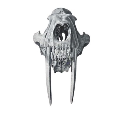 Genuine Tyrannosaurus rex Tooth for Sale