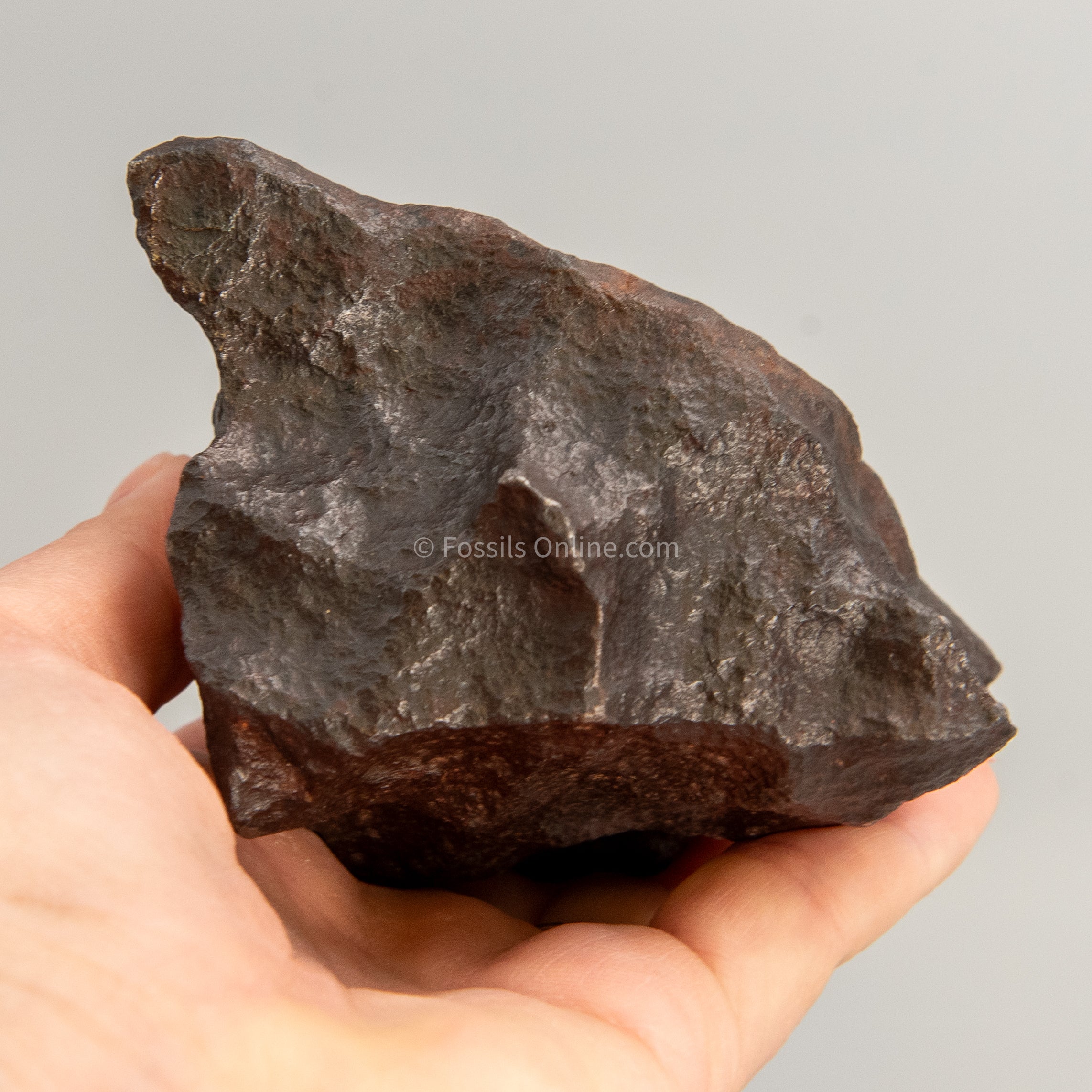 Henbury Meteorite 1265gr