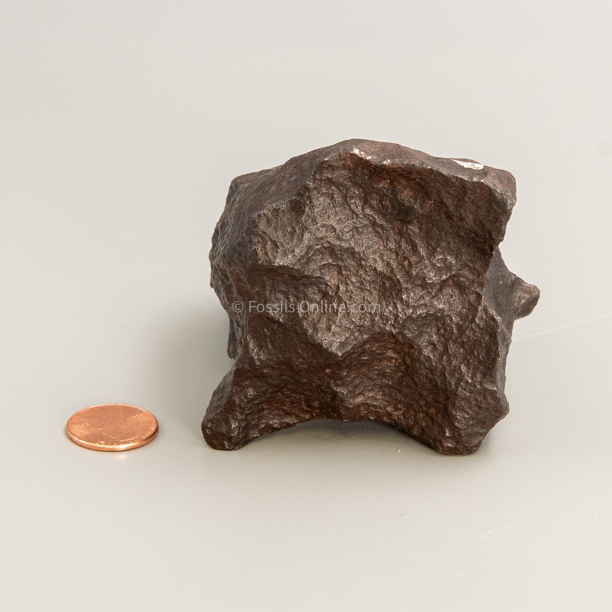 Henbury Meteorite 1265gr