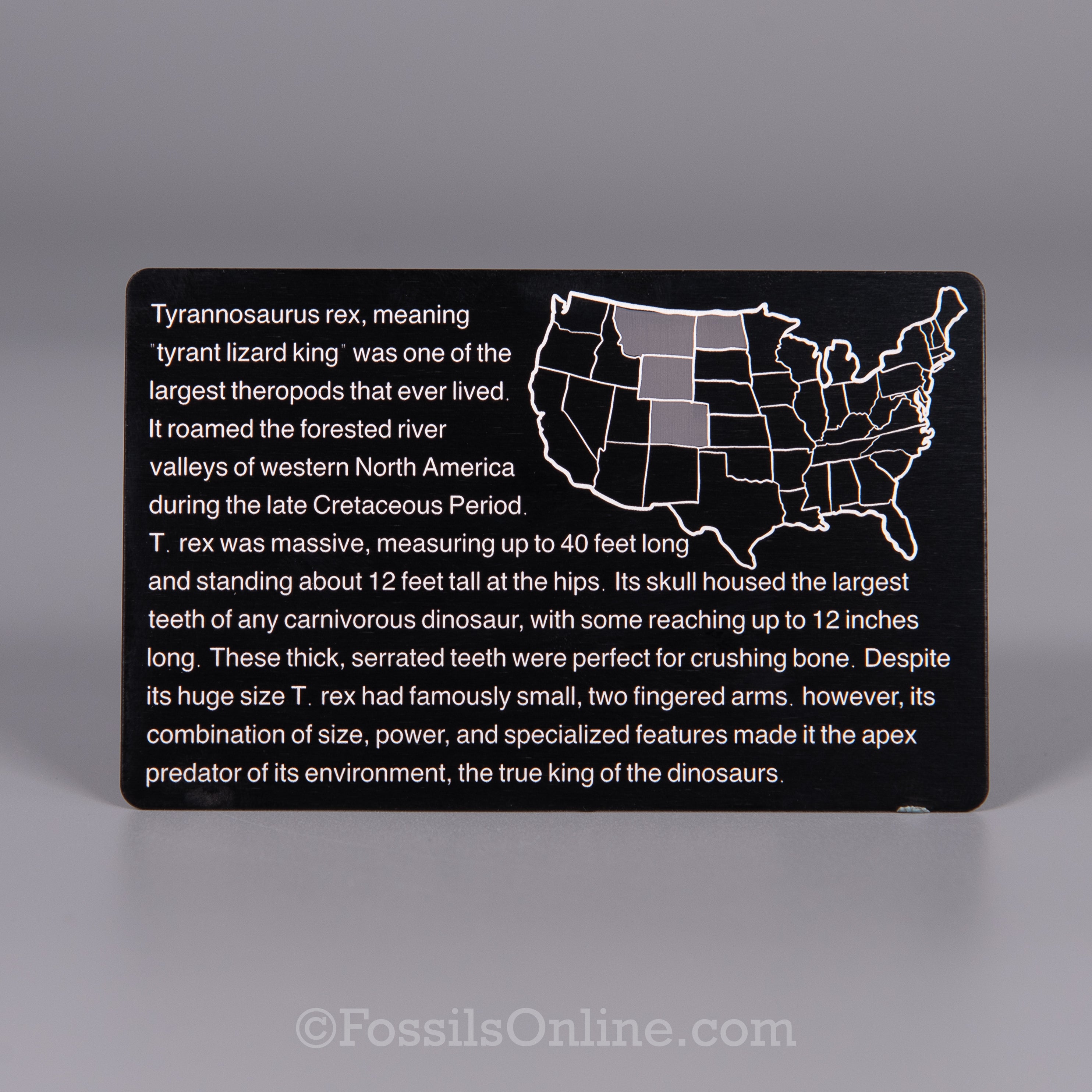 Tyrannosaurus rex Fossil ID Card