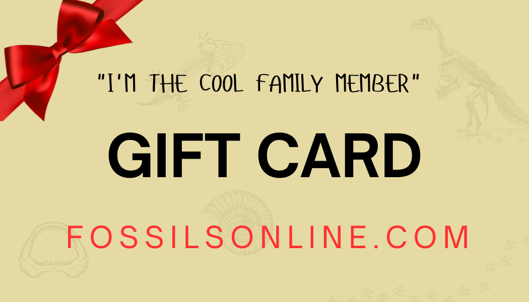 Fossils Online                                   "I'm the cool family member"                                  Gift Card