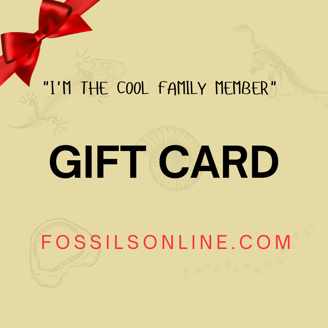 Fossils Online                                   "I'm the cool family member"                                  Gift Card
